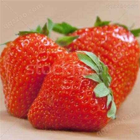 花帝草莓香精 烘焙原料糖果饵料油溶香精草莓油香精包邮