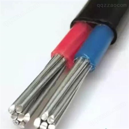  弘泰线缆一枝秀 铝芯防老化电线护套电缆 BLVVB 2*10