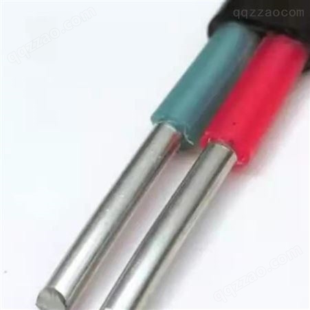  弘泰线缆一枝秀 铝芯防老化电线护套电缆 BLVVB 2*10