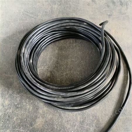 瑞林计算机电缆 DJYPVP DJYPVPR阻燃屏蔽电缆黑色 1米价