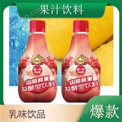 格瓦斯山楂鲜果发酵型饮料果味果汁饮料小胖瓶装
