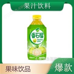 石榴果味饮料1L大瓶实惠装果汁饮料夏季饮品