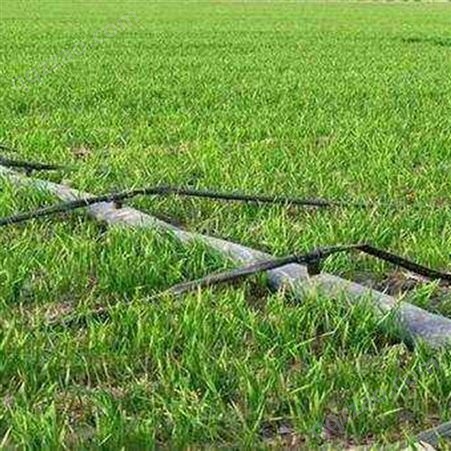 迷宫式滴灌带 农田果园园林节水灌溉用PE材质滴灌管