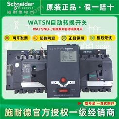 施耐德万高自动转换开关WATSNB-1600/3P/4P1600ACB级R/NS-N