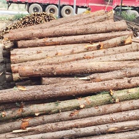 杉木杆 4-6米绿化支撑杆 园林工地用 高压防护 使用寿命长
