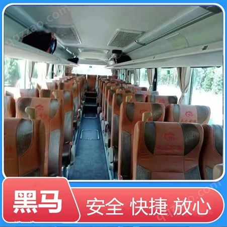 濮阳到杭州客运大巴车客车汽车全年无休乡镇接送