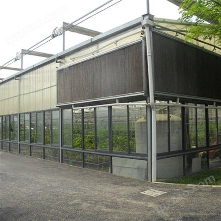 生态观光大棚蔬菜种植大棚设计 聚丰 爱尔兰大棚蔬菜种植大棚安装