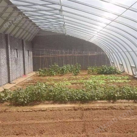 春秋棚蔬菜种植大棚种类 蔬菜温室大棚蔬菜种植大棚种类 聚丰