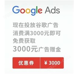 Google ads代运营 外贸推广公司 外贸建站推广 谷歌广告代理