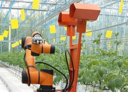 RCZG-5型轨道式果蔬采摘机器人高成功率低损伤率