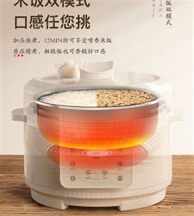 日本amadana电压力锅家用高压锅小型全自动电饭煲多功能3L5L