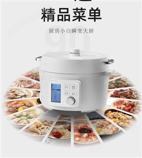 日本IRIS爱丽思电压力锅家用小型爱丽丝电高压锅电饭煲汤