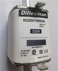 R325H1000NA 熔断器 德国 Dillesman 迪勒斯曼