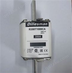 R350T1000CA 熔断器 德国 Dillesman 迪勒斯曼