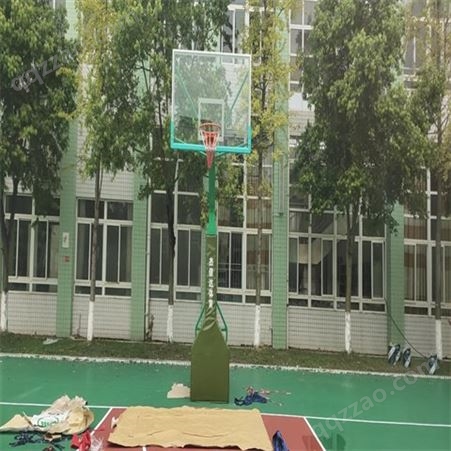 新星体育 户外体育馆篮球架 场地训练使用 款式多样 支持定制