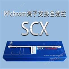 普分分析PFchrom SCX 强阴离子交换色谱柱