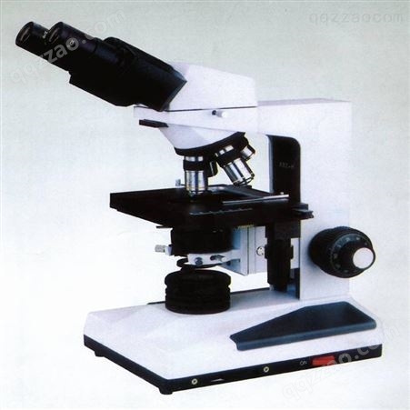 进口显微镜 J.P.SELECTA 偏光双目显微镜206 LED 双目镜 5313115